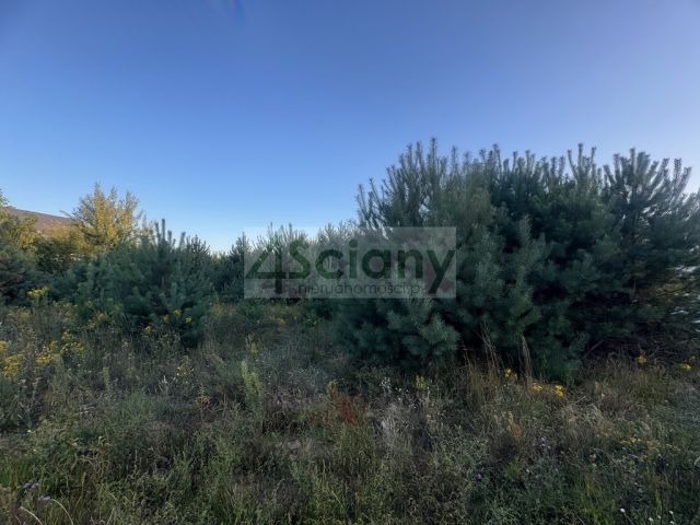 Działka budowlana Wieliszew. Zdjęcie 1