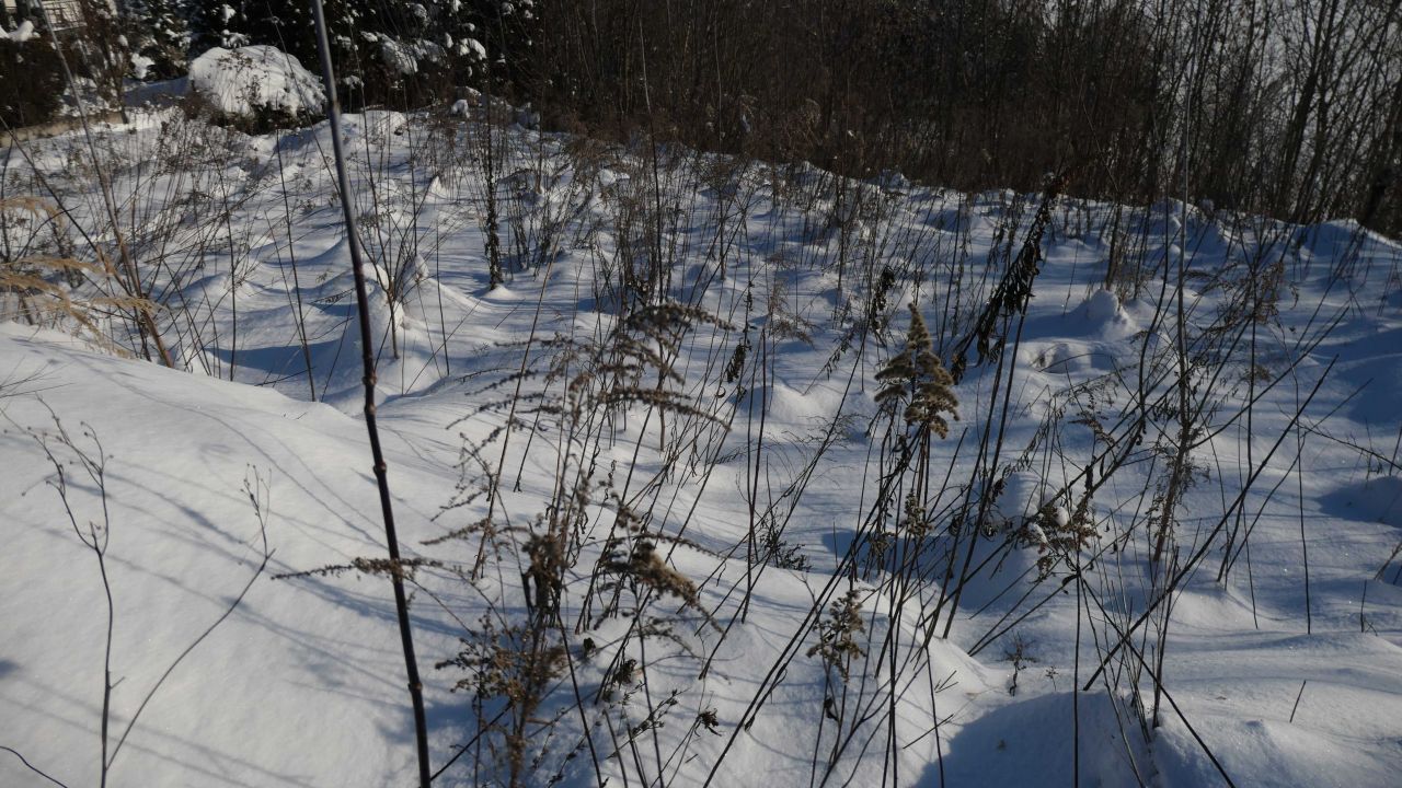 Działka budowlana Krasnystaw, ul. Makuszyńskiego. Zdjęcie 3