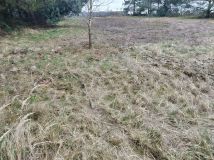 Działka budowlana Masłów. Zdjęcie 1