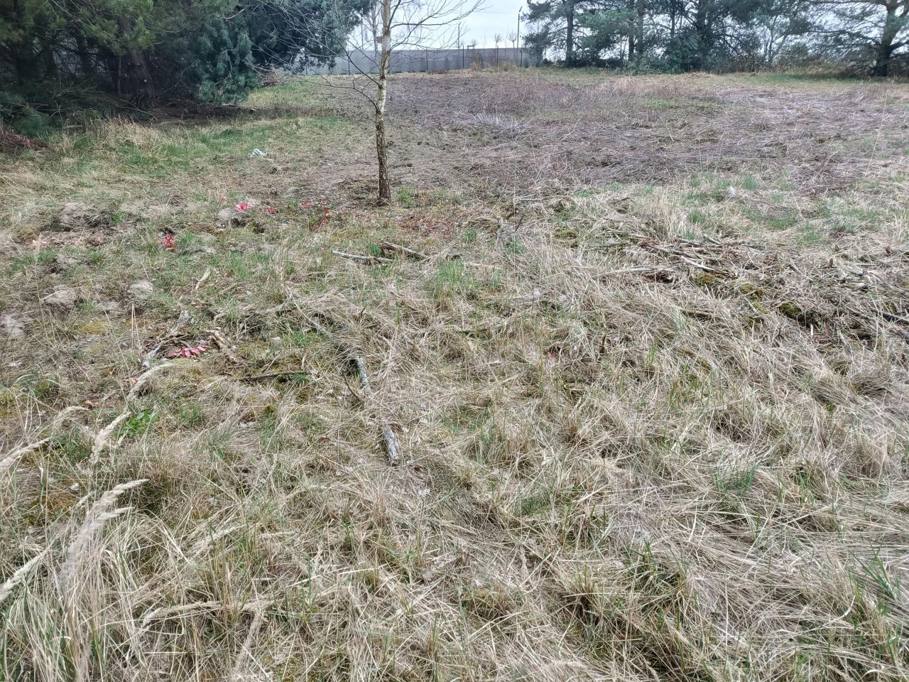 Działka budowlana Masłów. Zdjęcie 2