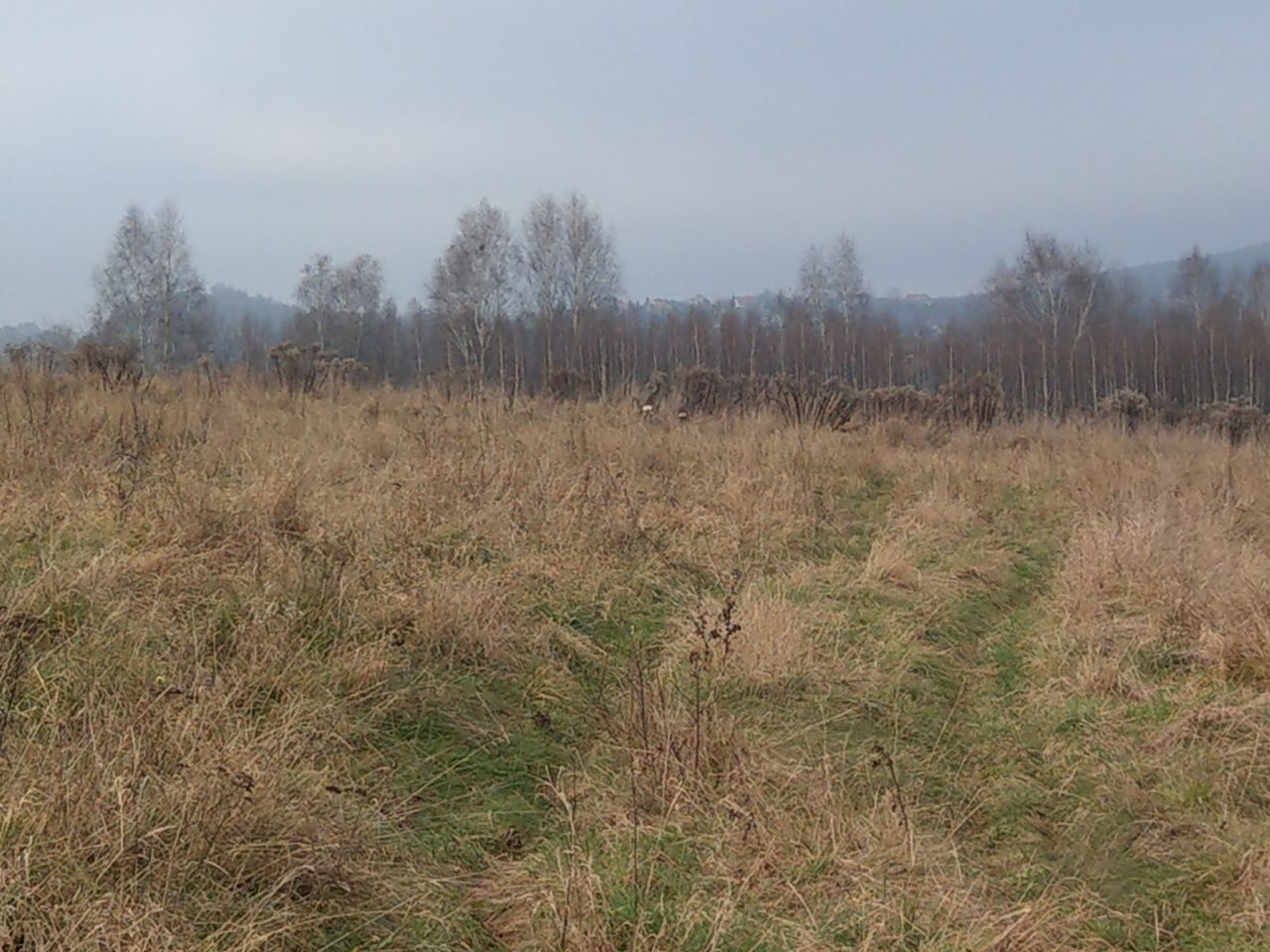 Działka rolno-budowlana Kostomłoty Pierwsze Stara Wieś, ul. Starowiejska. Zdjęcie 10
