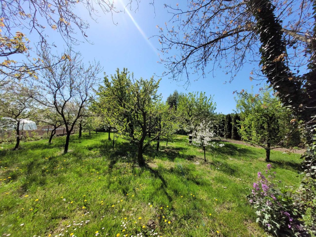 Działka budowlana Jaroszyn. Zdjęcie 5