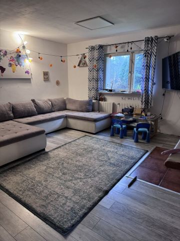 Działka rod Szczecin Golęcino, ul. Pokoju. Zdjęcie 1