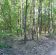 Działka leśna Sułkowo Borowe. Zdjęcie 5