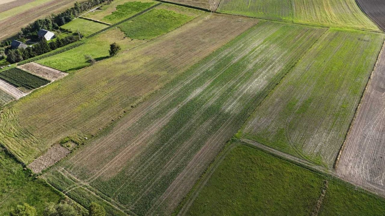Działka rolno-budowlana Minoga. Zdjęcie 8