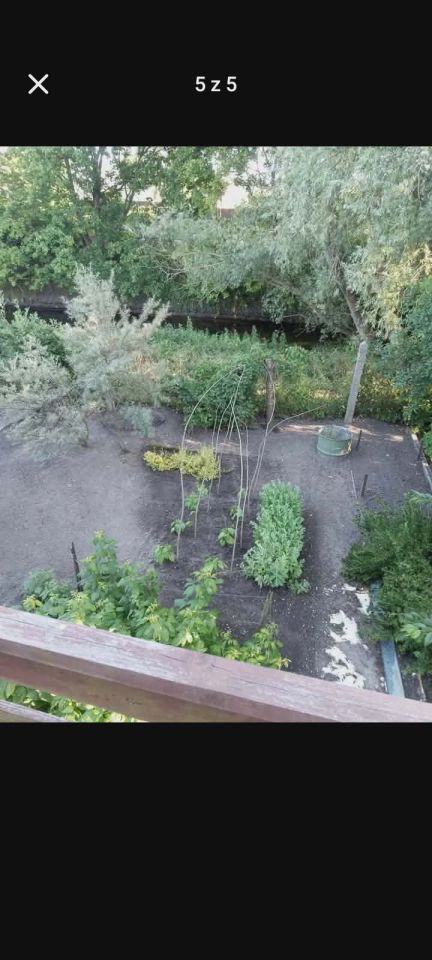 Działka rod Starogard Gdański Centrum, ul. Przy Młynie. Zdjęcie 5