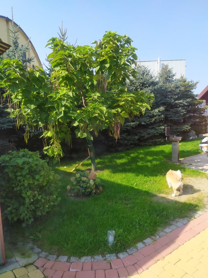 dom wolnostojący, 4 pokoje Brzezinka, ul. Torowa. Zdjęcie 16