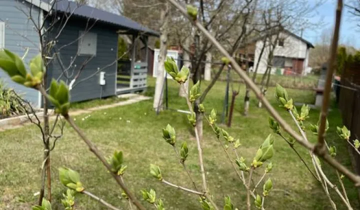 Działka rod Płock Radziwie