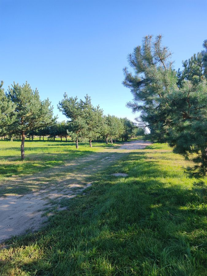 Działka rolna Gnieżdżewo. Zdjęcie 6
