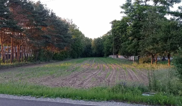 Działka budowlana Lisiec Wielki