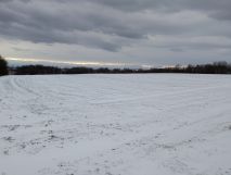 Działka rolna Czułów Zręby. Zdjęcie 2