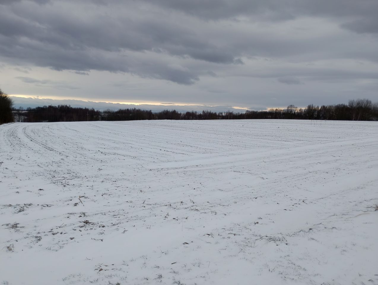 Działka rolna Czułów Zręby. Zdjęcie 3