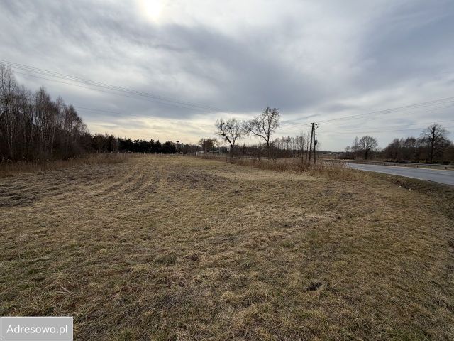 Działka rolno-budowlana Trojanowice. Zdjęcie 1