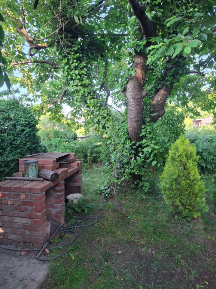 Działka rod Słupsk, al. 3 Maja. Zdjęcie 1