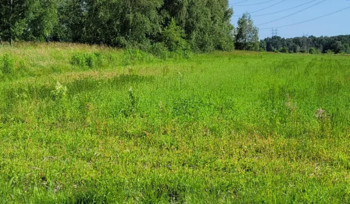 Działka rolno-budowlana Warężyn