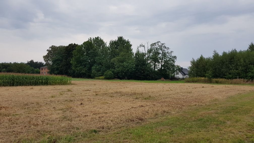 Działka budowlana Paszczyna. Zdjęcie 5