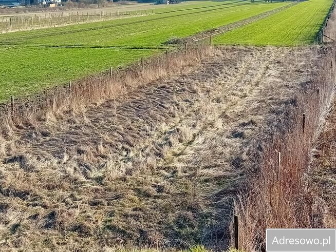 Działka rolna Parchatka. Zdjęcie 12