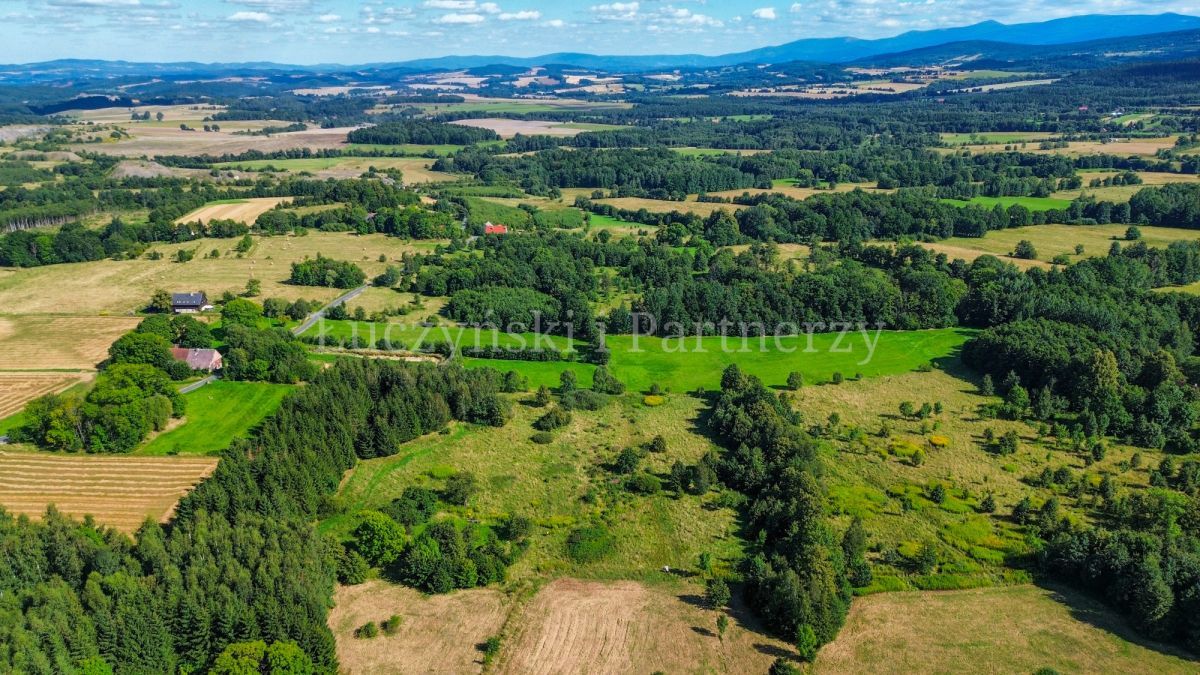 Działka siedliskowa Kłopotnica. Zdjęcie 9