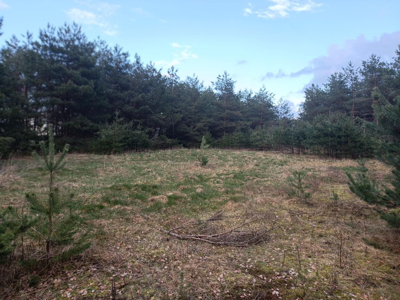 Działka budowlana Wylazłowo. Zdjęcie 4