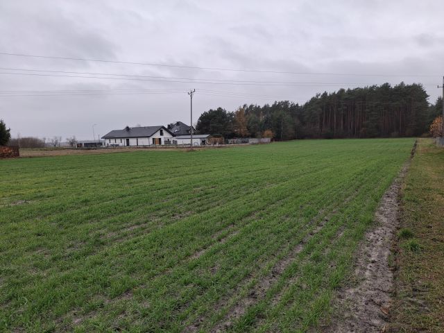 Działka budowlana Łąki, ul. Runa Leśnego. Zdjęcie 1