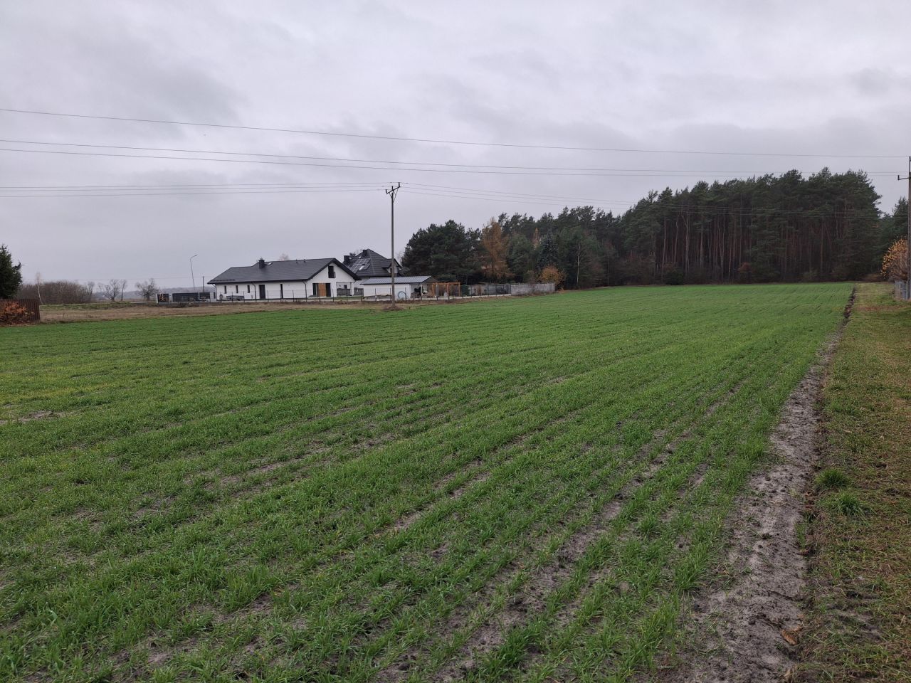 Działka budowlana Łąki, ul. Runa Leśnego. Zdjęcie 1