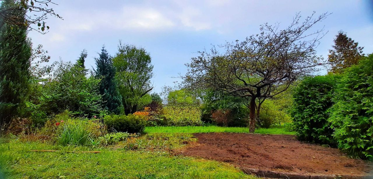 Działka rod Kielce Barwinek, ul. Wrzosowa. Zdjęcie 7