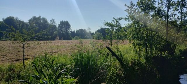 Działka rolna Strzeszkowice Duże. Zdjęcie 1