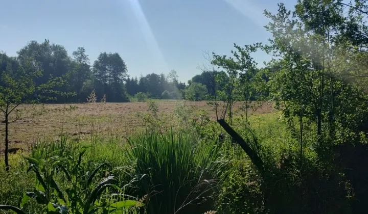 Działka rolna Strzeszkowice Duże