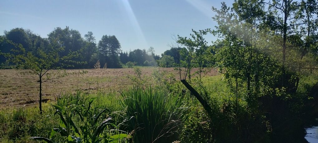 Działka rolna Strzeszkowice Duże. Zdjęcie 1