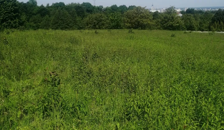 Działka rolno-budowlana Rzeszów