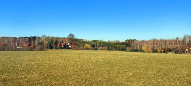 Działka rolna Marcinkowo. Zdjęcie 6