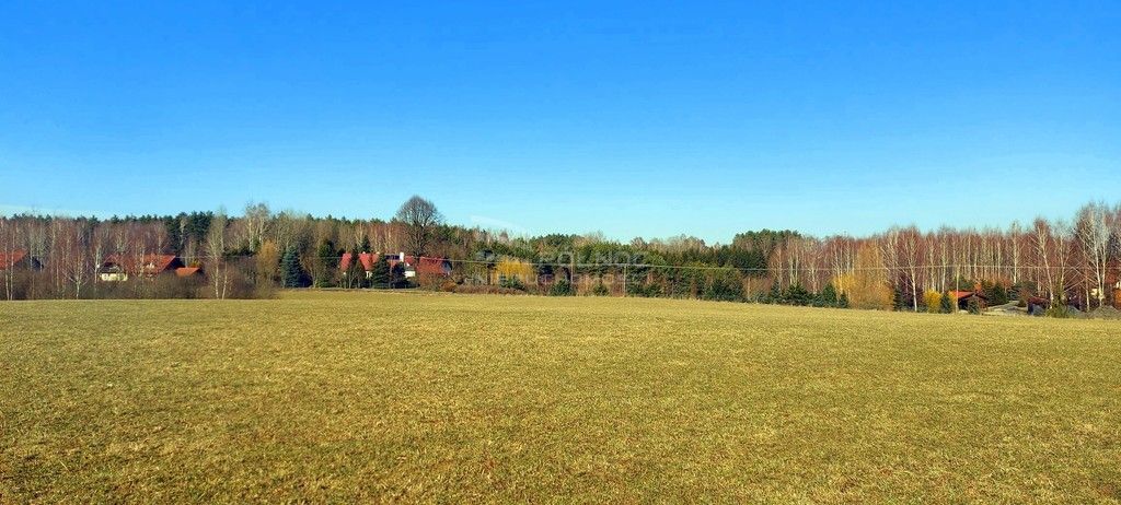 Działka rolna Marcinkowo. Zdjęcie 6