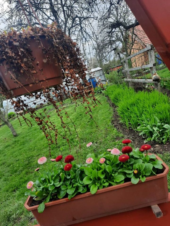 Działka rod Szczecinek, ul. Sienkiewicza. Zdjęcie 6