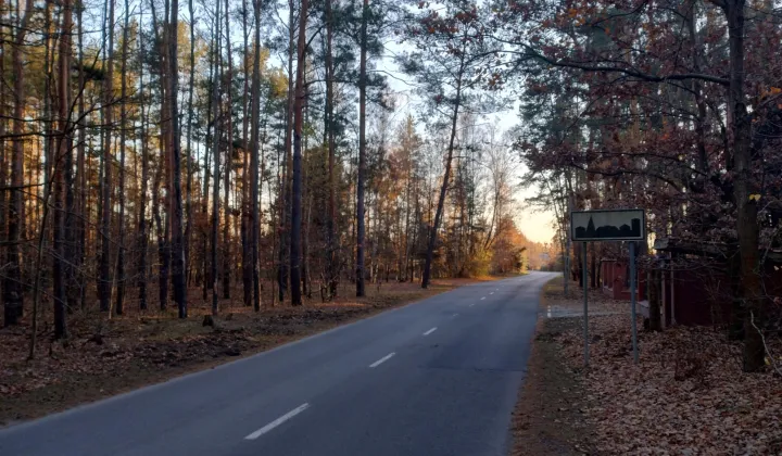 Działka leśna Zielonki-Wieś, ul. Białej Góry