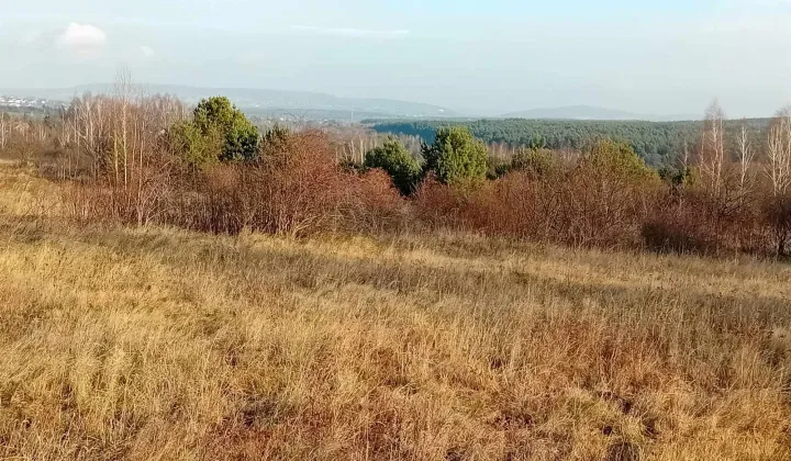 Działka inwestycyjna Daleszyce