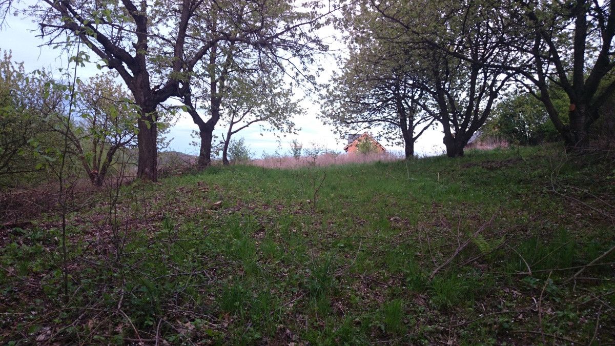 Działka siedliskowa Maszków, ul. Zamoście. Zdjęcie 7