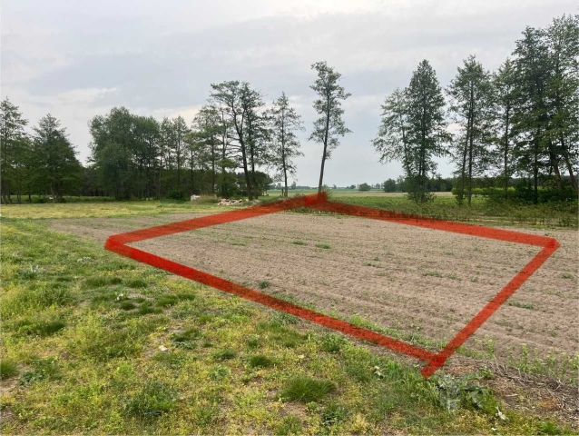 Działka budowlana Janów. Zdjęcie 1