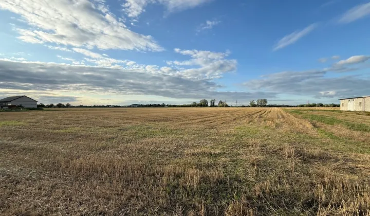 Działka rolna Moszna-Parcela