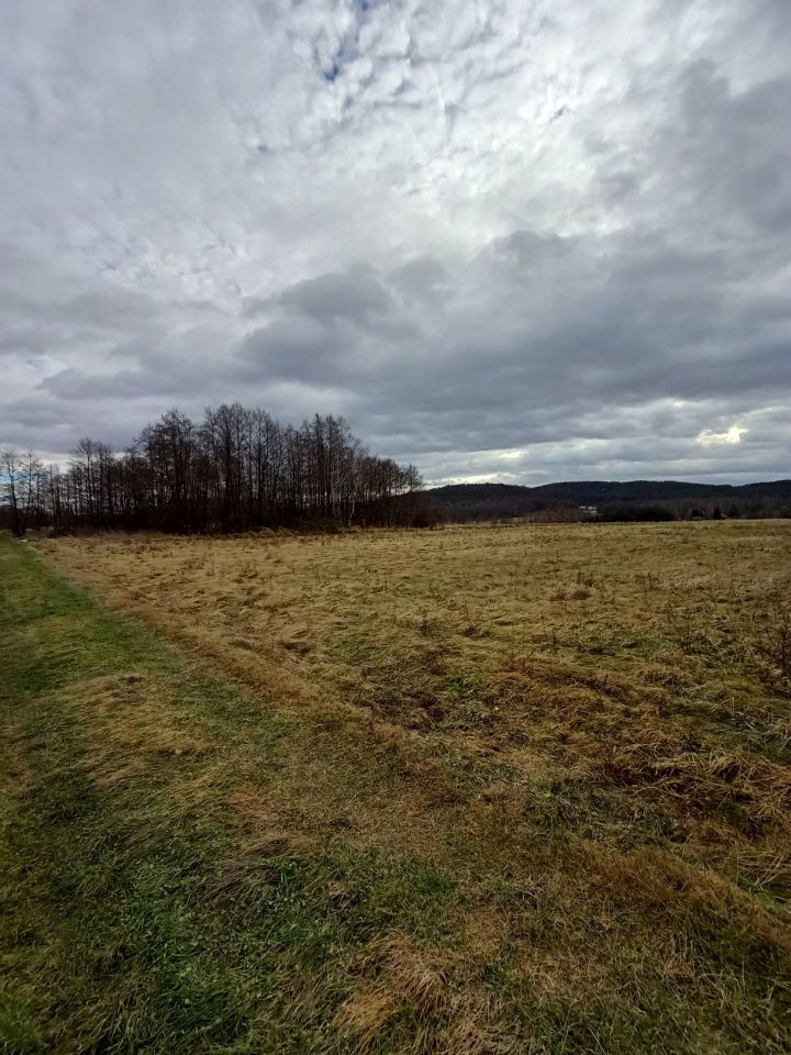 Działka rolno-budowlana Bóbrka. Zdjęcie 4