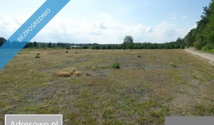 Działka budowlana Ładne