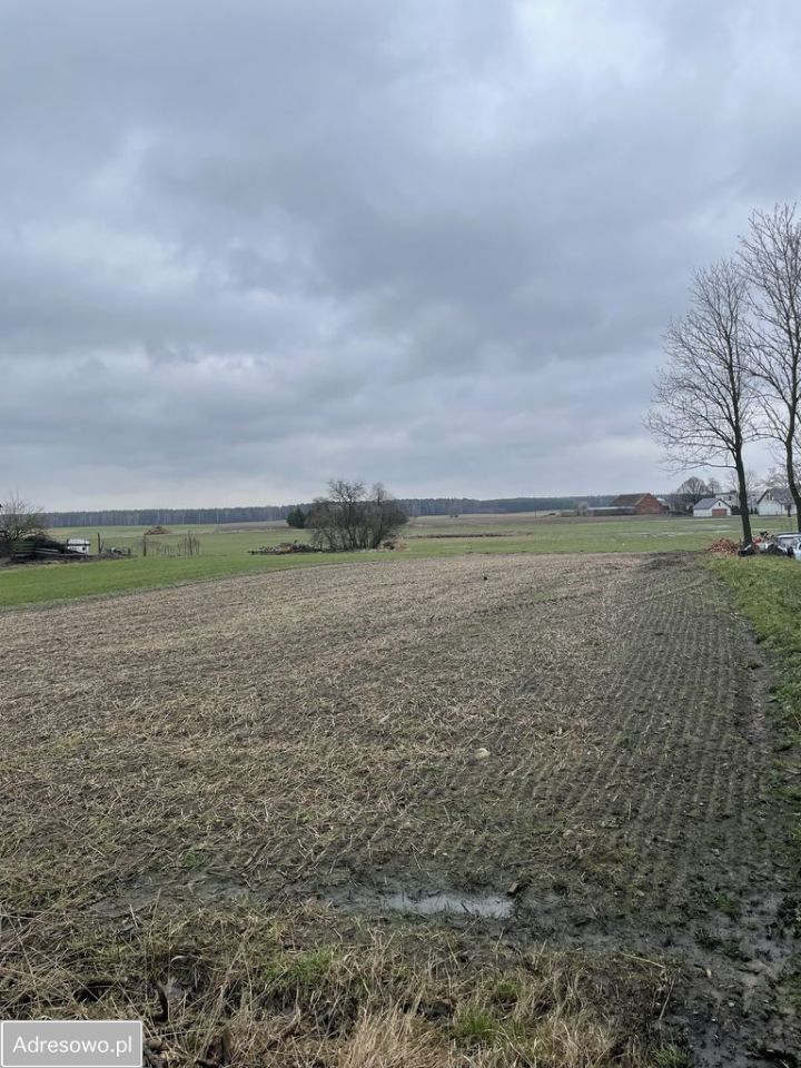 Działka budowlana Brzeźno, ul. Długa. Zdjęcie 2