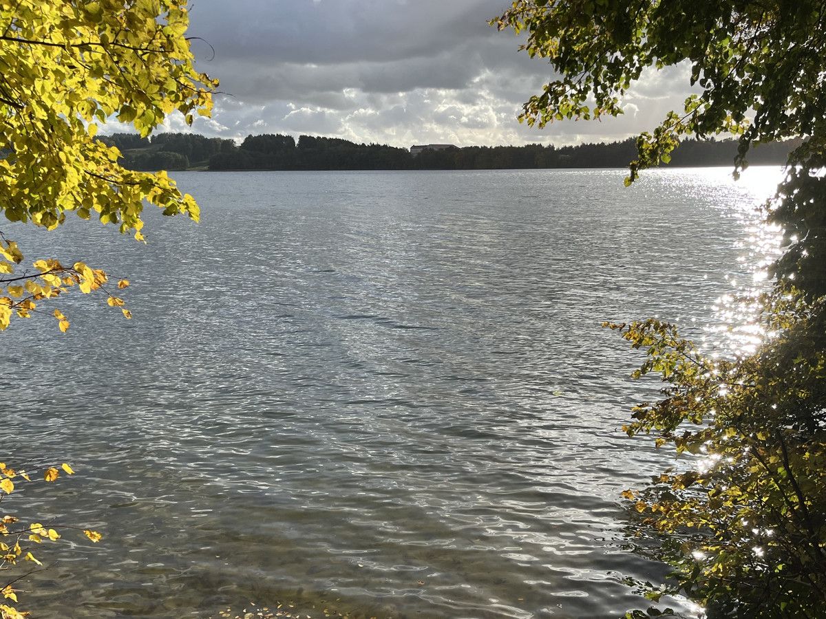 dom wolnostojący Szymanowo. Zdjęcie 32