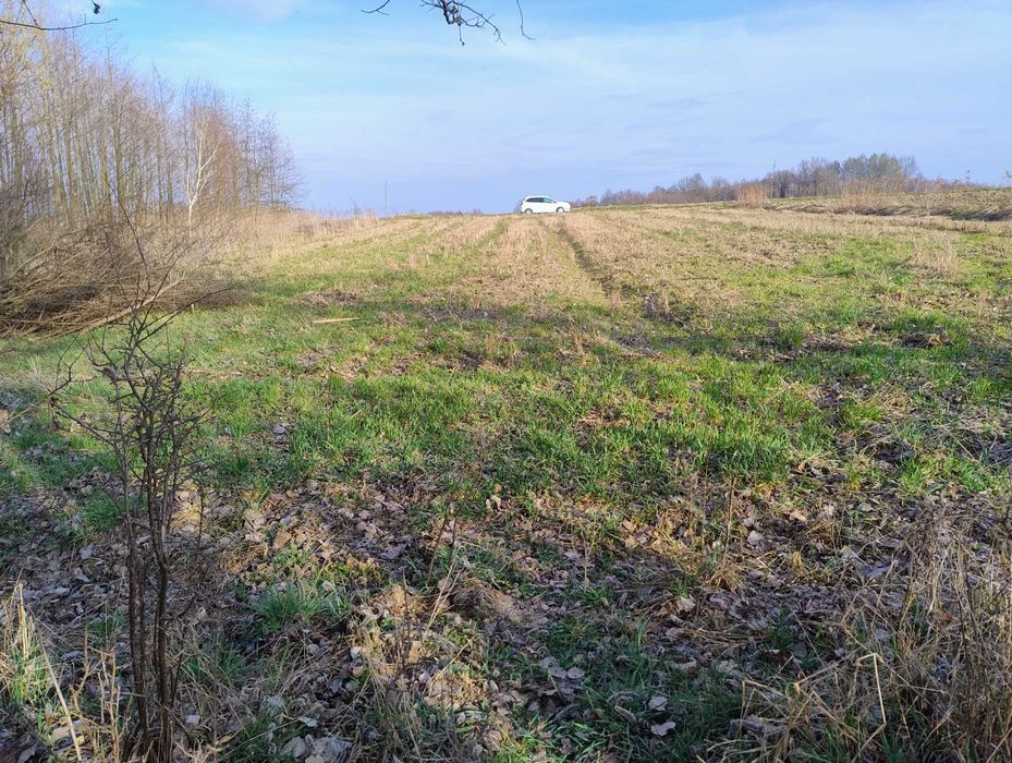 Działka na sprzedaż bez pośredników
Ratnawy
Łopoń