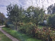 Działka rod Zielona Góra, ul. Łużycka. Zdjęcie 1