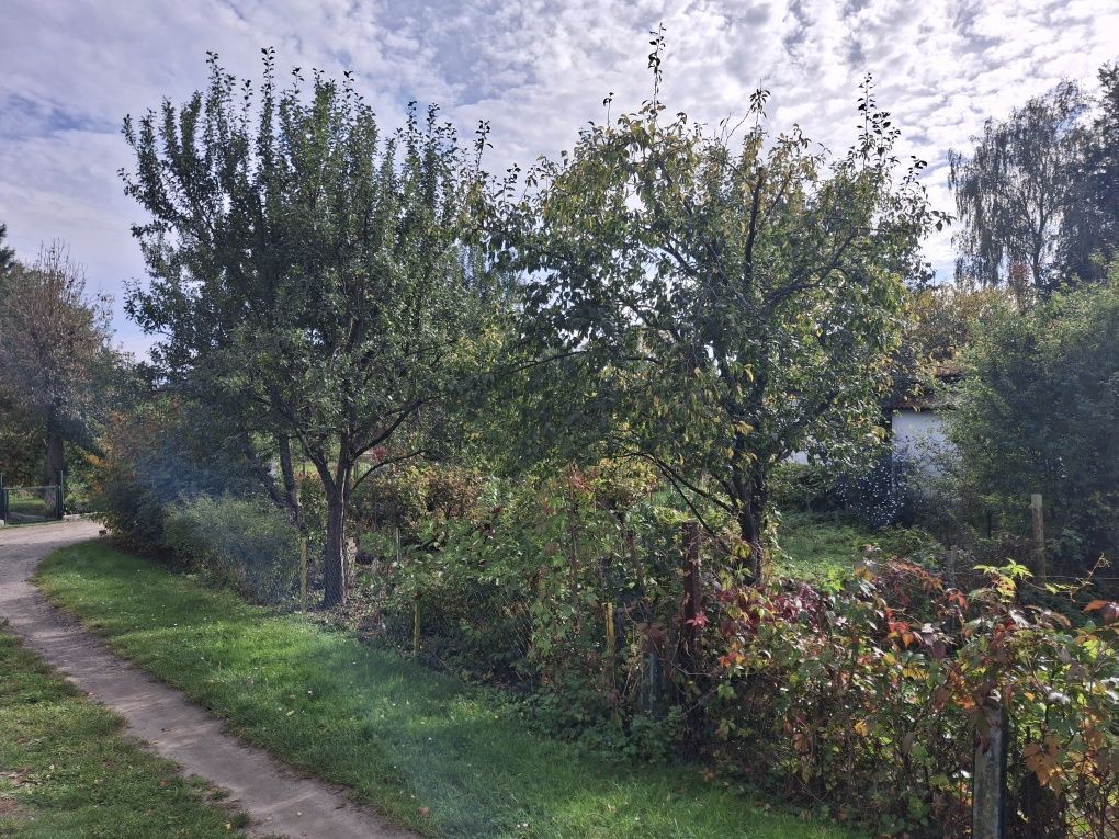 Działka rod Zielona Góra, ul. Łużycka. Zdjęcie 2