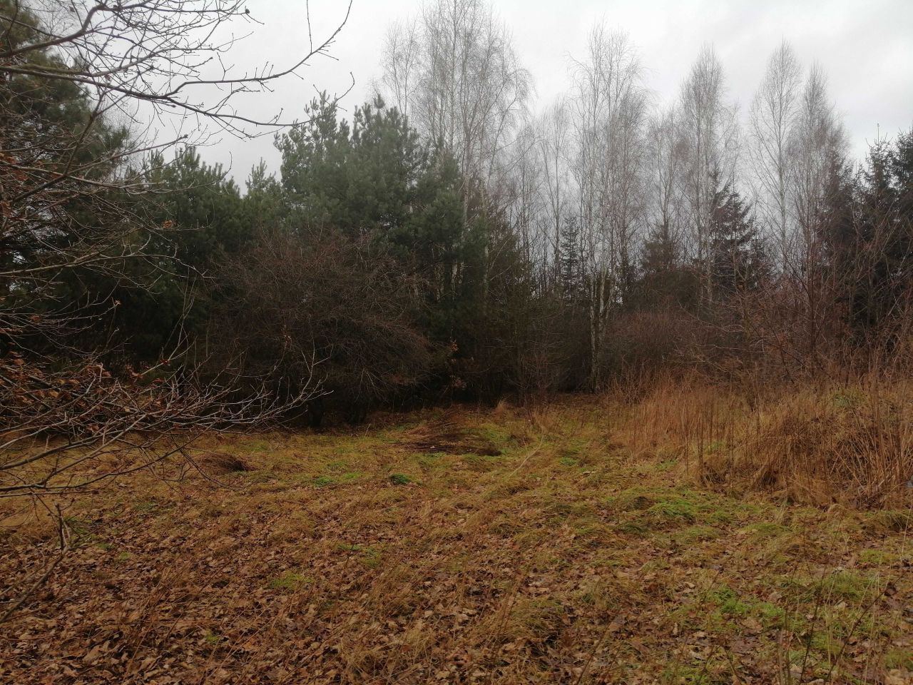 Działka budowlana Jurki. Zdjęcie 7