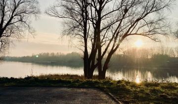 Działka rod Boguchwałowice, ul. Aleja IX