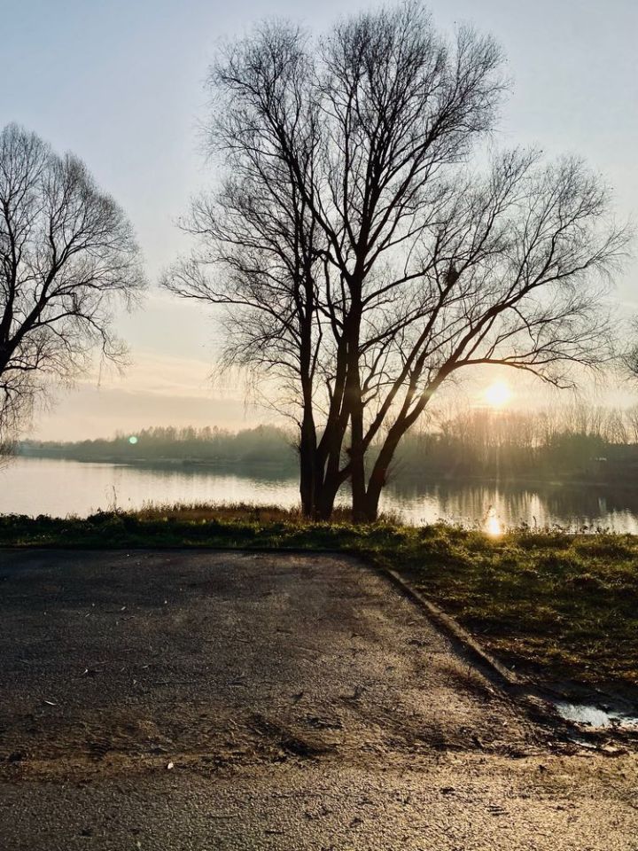 Działka rod Boguchwałowice, ul. Aleja IX. Zdjęcie 2