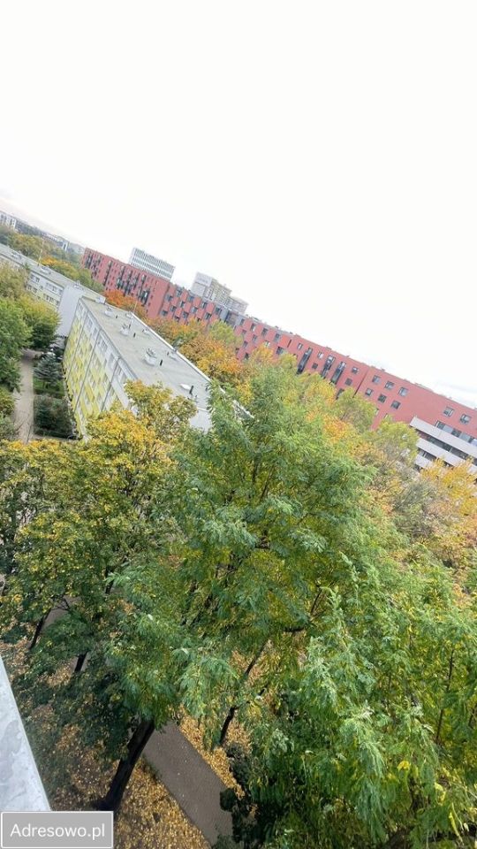 Mieszkanie 2-pokojowe Wrocław Popowice, ul. Białowieska. Zdjęcie 6