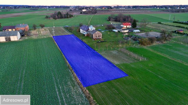 Działka rolno-budowlana Ludwin-Kolonia. Zdjęcie 1